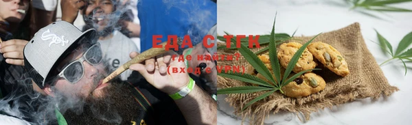 амф Новозыбков