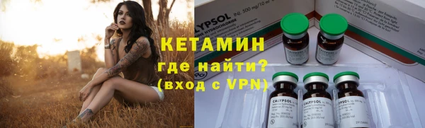 амф Новозыбков