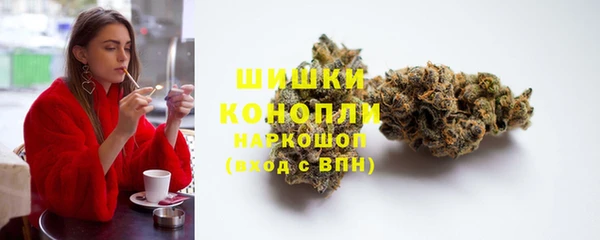молекула духа Новокубанск