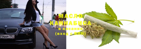 амф Новозыбков