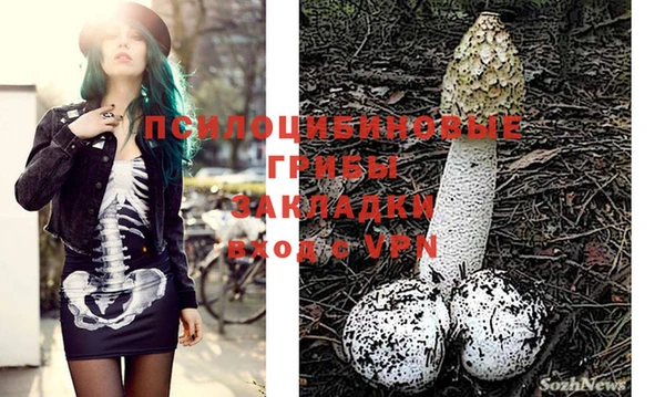 молекула духа Новокубанск