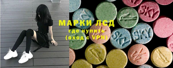 ешки Новодвинск