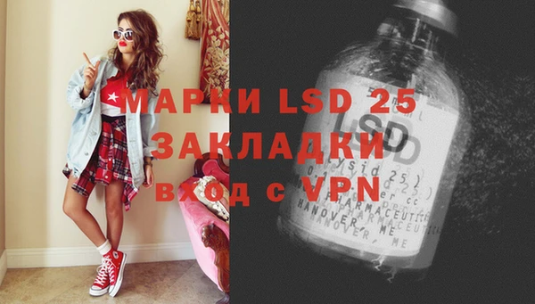 амф Новозыбков
