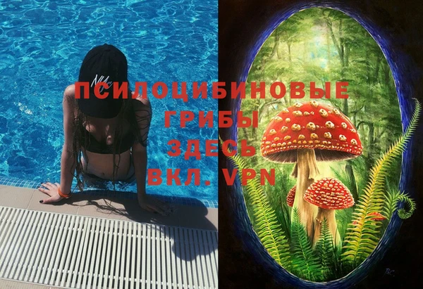 ешки Новодвинск