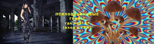 ешки Новодвинск