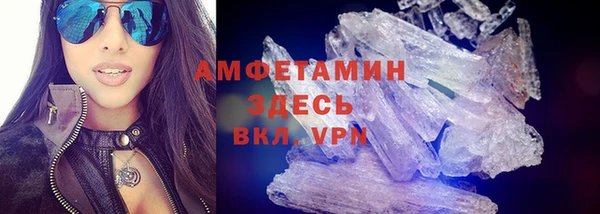 амф Новозыбков