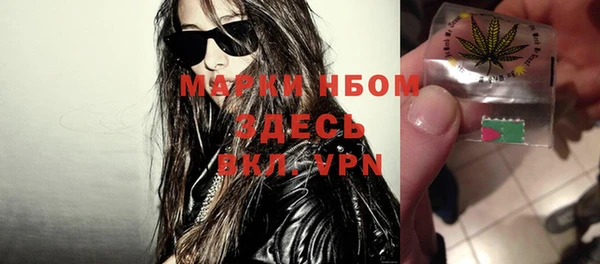 ешки Новодвинск