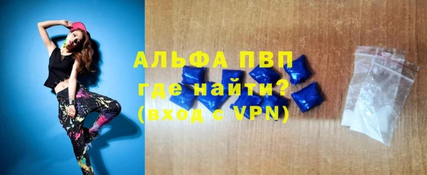 амф Новозыбков