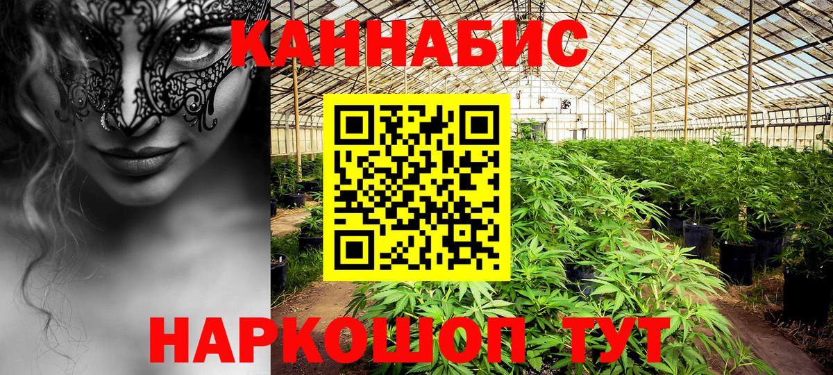 Марихуана план  Каннабис OG Kush  Каннабис план  Сердобск  Шишки марихуана индика 